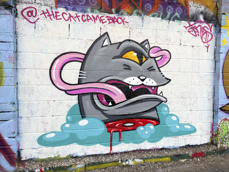 The Cat Came Back, M32 Cycle path, Bristol, August 2026