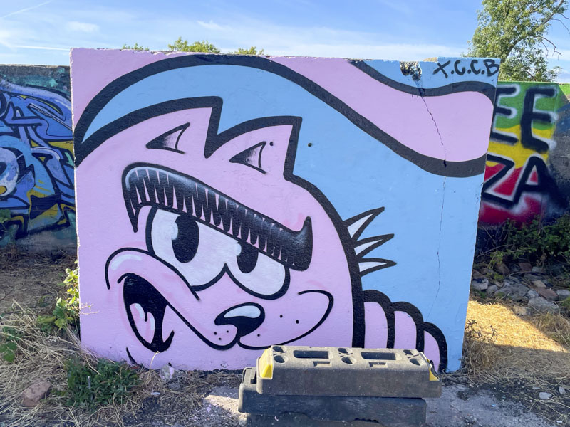 The Cat Came Back, Purdown, Bristol, August 2026