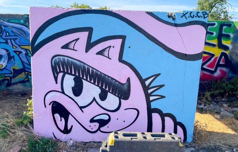The Cat Came Back, Purdown, Bristol, August 2026