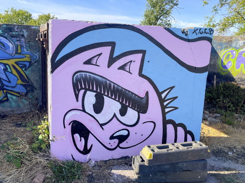 The Cat Came Back, Purdown, Bristol, August 2026