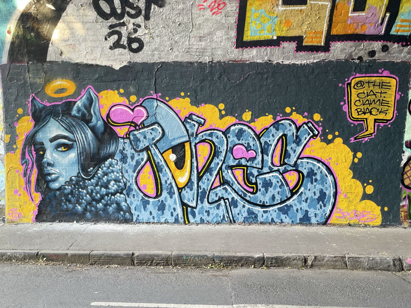 The Cat Came Back, St Werburghs, Bristol, August 2026