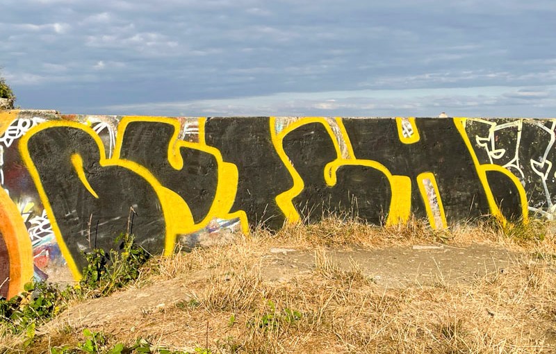 Butch, Purdown, Bristol, August 2026