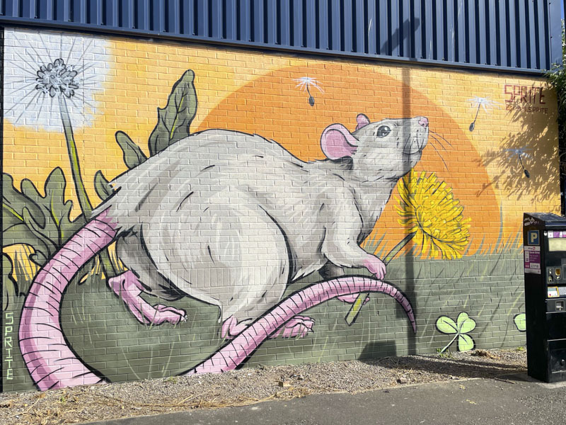 Sprite, Stillhouse Lane, Upfest 2026, Bristol, May 2026