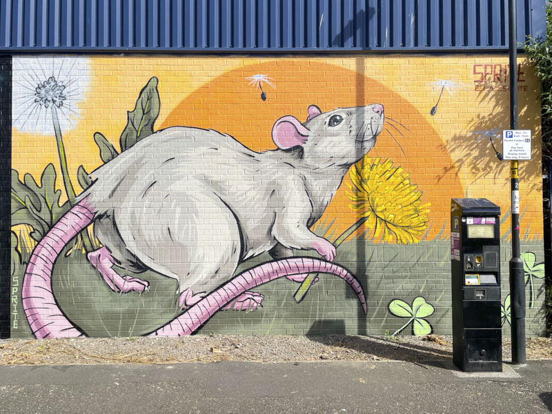Sprite, Stillhouse Lane, Upfest 2026, Bristol, May 2026
