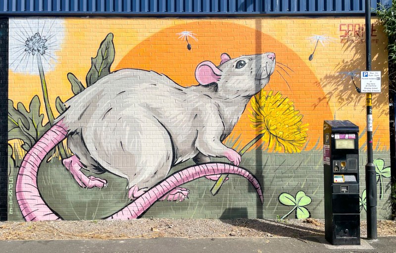 7850. Stillhouse Lane – Upfest 2026&nbsp;(48)