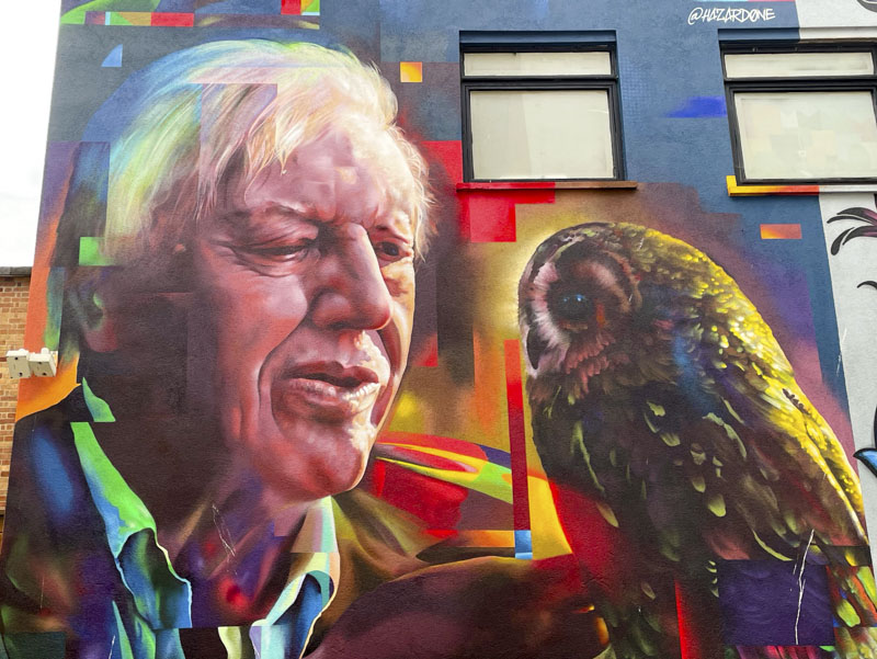 Hazard, Quakers Art Lane, Bristol, June 2026