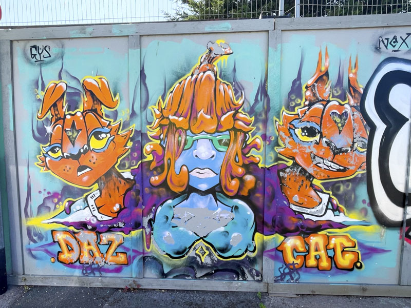 Daz Cat, Goodneston Road, Bristol, July 2026