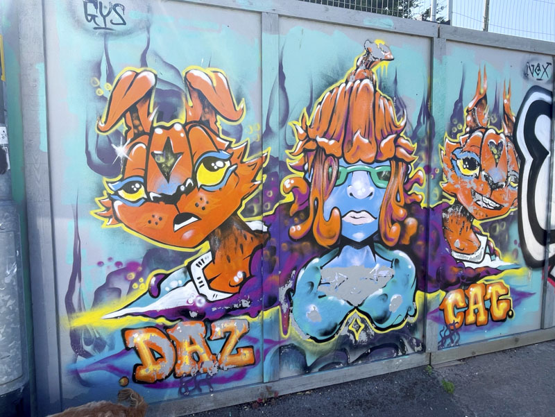 Daz Cat, Goodneston Road, Bristol, July 2026