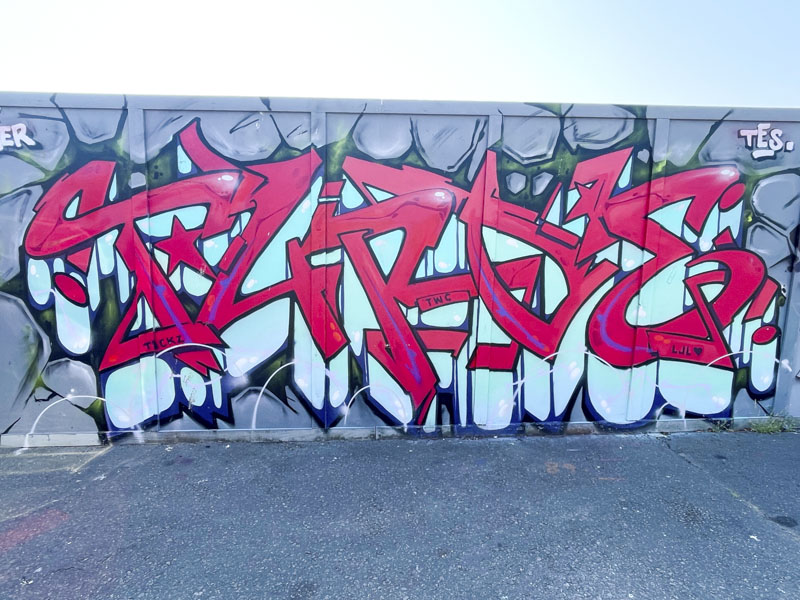 Turoe, Goodneston Road, Bristol, July 2026