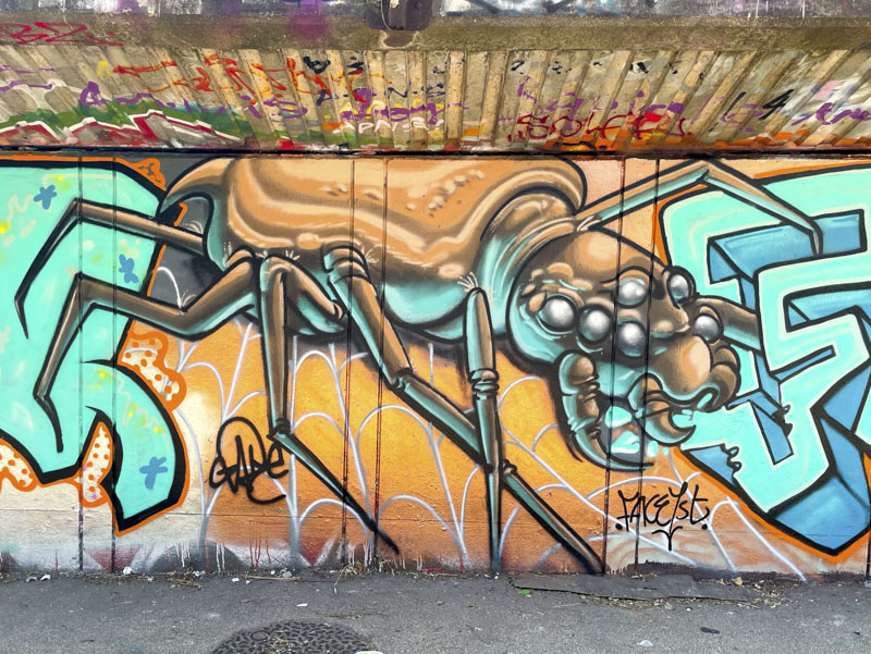 Zake, M32 Cycle path, Bristol, July 2026