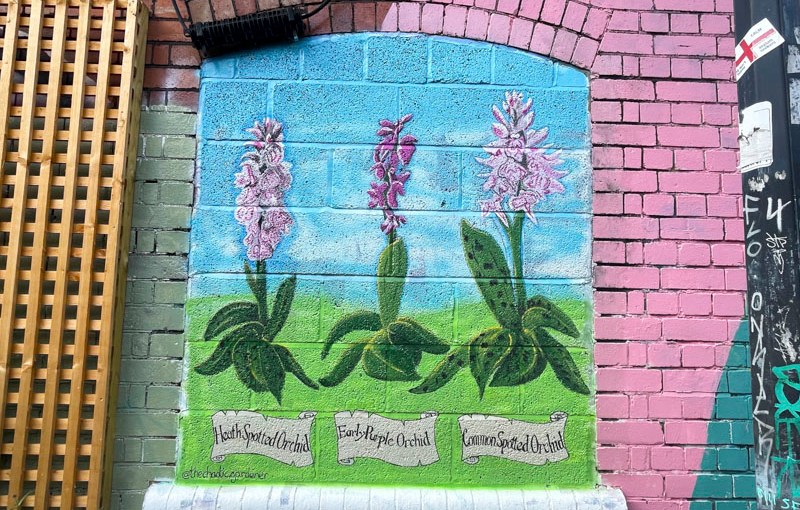 7855. St Mark’s Avenue&nbsp;(13)