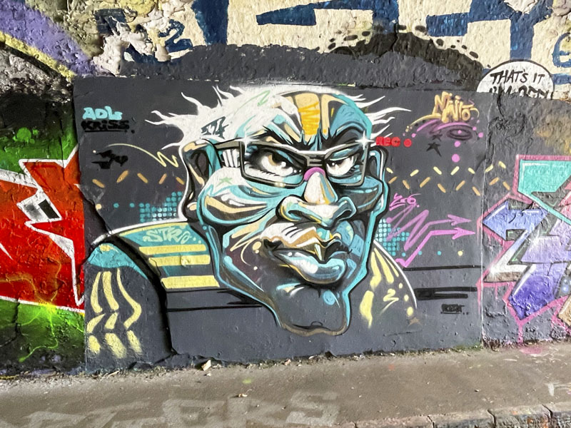 Minto, St Werburghs, Bristol, September 2026