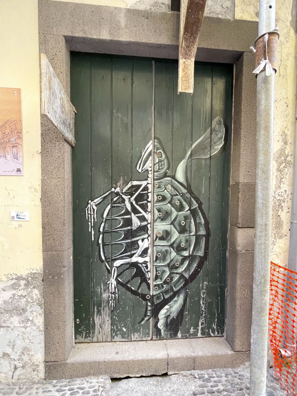 Turtle painting door, Rua De Santa Maria, Funchal, Madeira, Portugal, September 2025