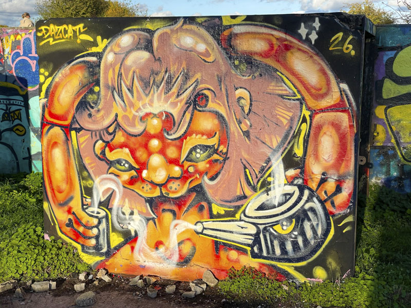 Daz Cat, Purdown, Bristol, October 2026