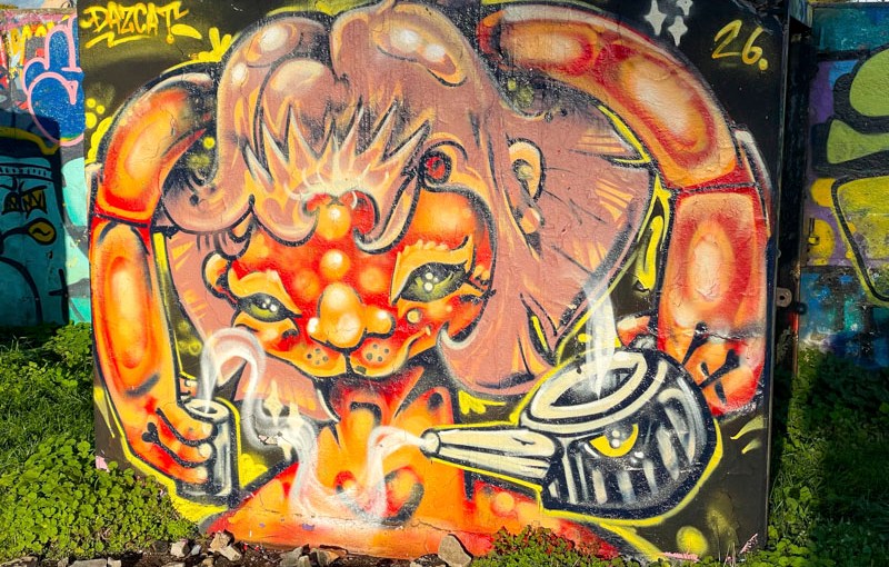 Daz Cat, Purdown, Bristol, October 2026