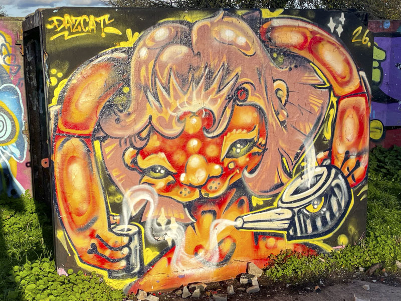 Daz Cat, Purdown, Bristol, October 2026