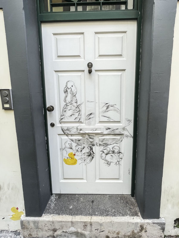 Duck, ducklings and rubber ducks door, Rua de SantaMaria, Funchal, Madeira, Portugal, September 2025