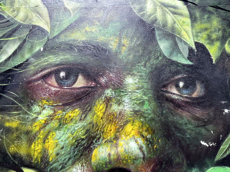 Dale Grimshaw, Upfest 2026, Raleigh Road, Bristol, May 2026